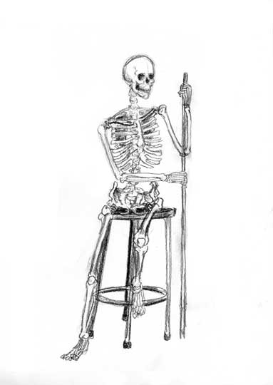 skeletal